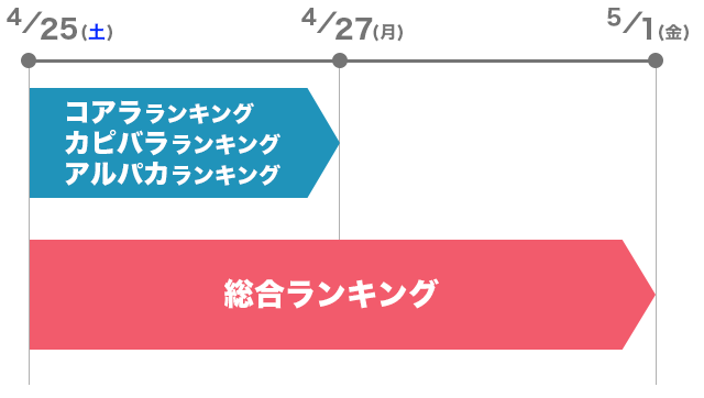 スケジュール