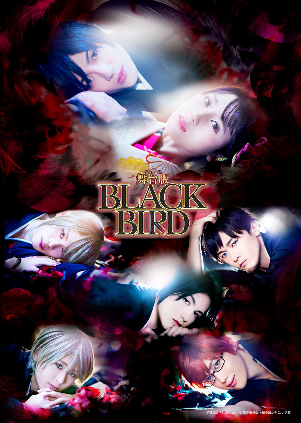 舞台版「BLACK BIRD」DVD販売受付 – チケット情報・販売・購入・予約