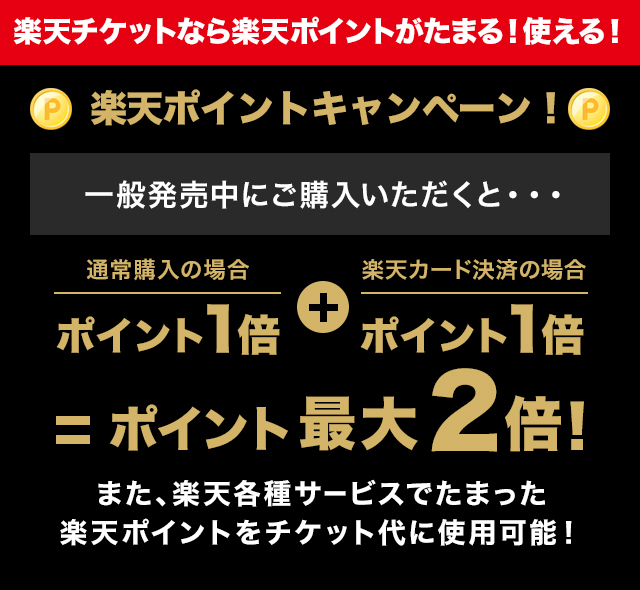 アレグリア○連番チケット○SS席2枚○3月3日金○シルク・ドゥ