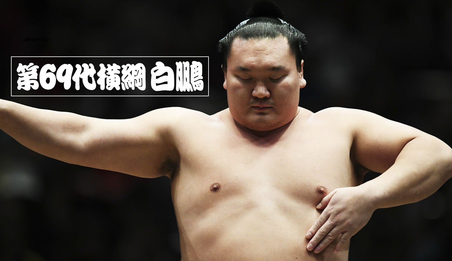日本大相撲トーナメント第四十三回大会